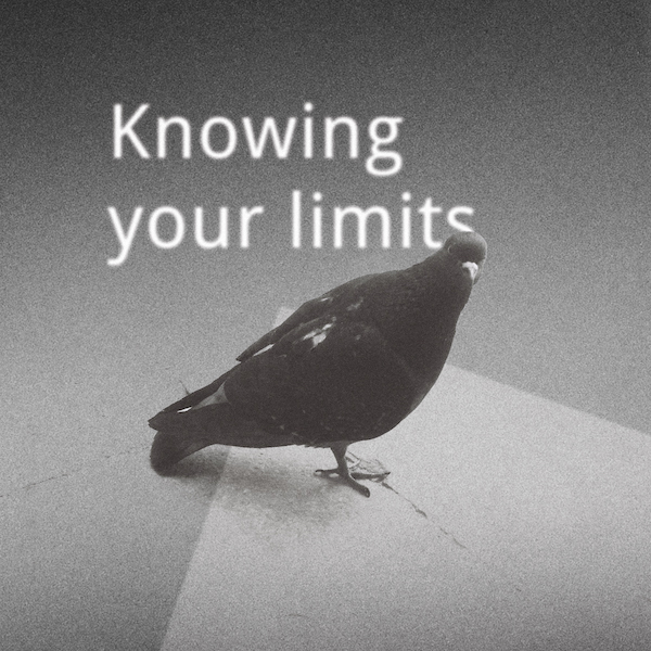 Coverart – Knowing Your Limits_600x600